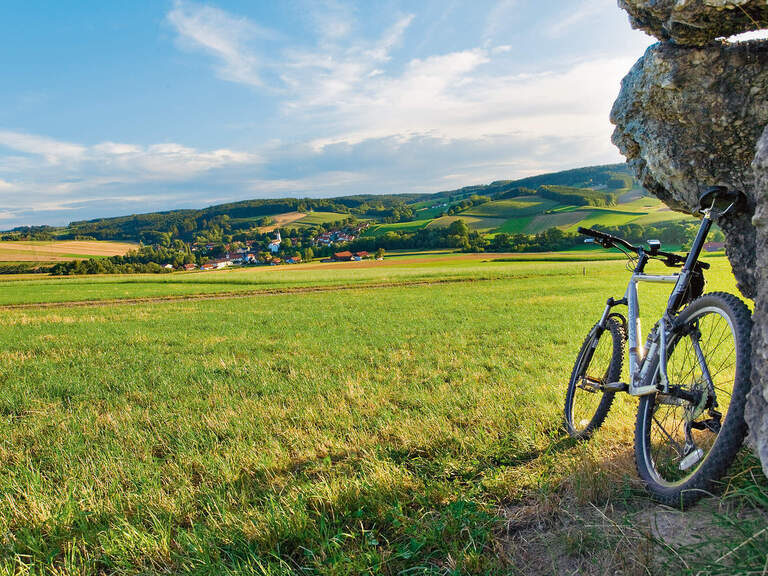 Ein Fahrrad lehnt an einem Baum und im Hintergrund sind weitläufige Wiesen zu erkennen.